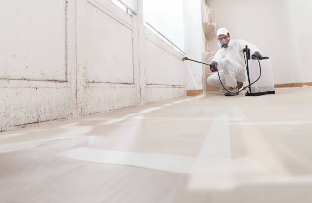 24/7 Emergency Attic Mold Remediation experts in Riverside, IL